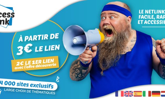 Accesslink : Notre avis sur cette Plateforme de Netlinking